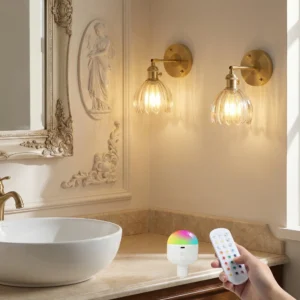 DONGPAI 2 Pack Vintage Wall Sconces